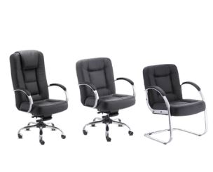 Cadeiras Linha Business